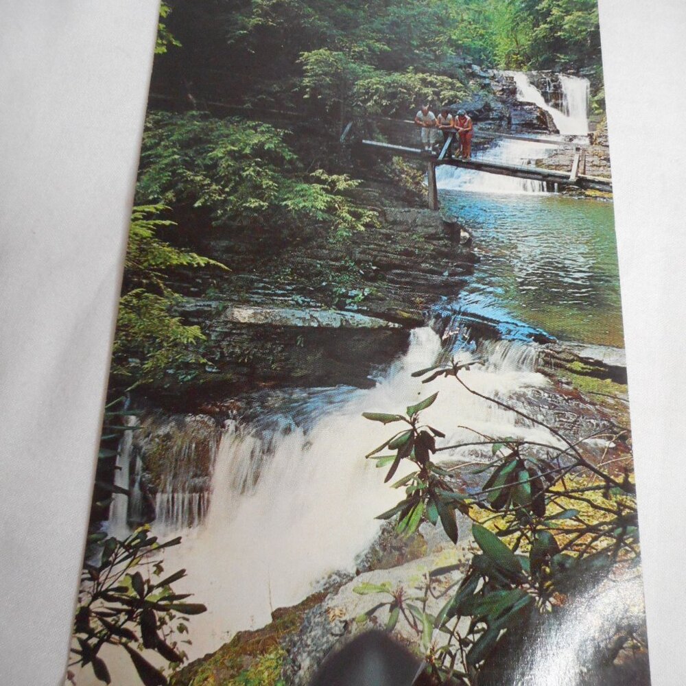 Vintage Postcard unposted Winona Five Falls Bushkill, PA 1960s Poconos people
